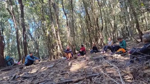 Il gruppo in sosta nel bosco, seduto fra gli alberi
