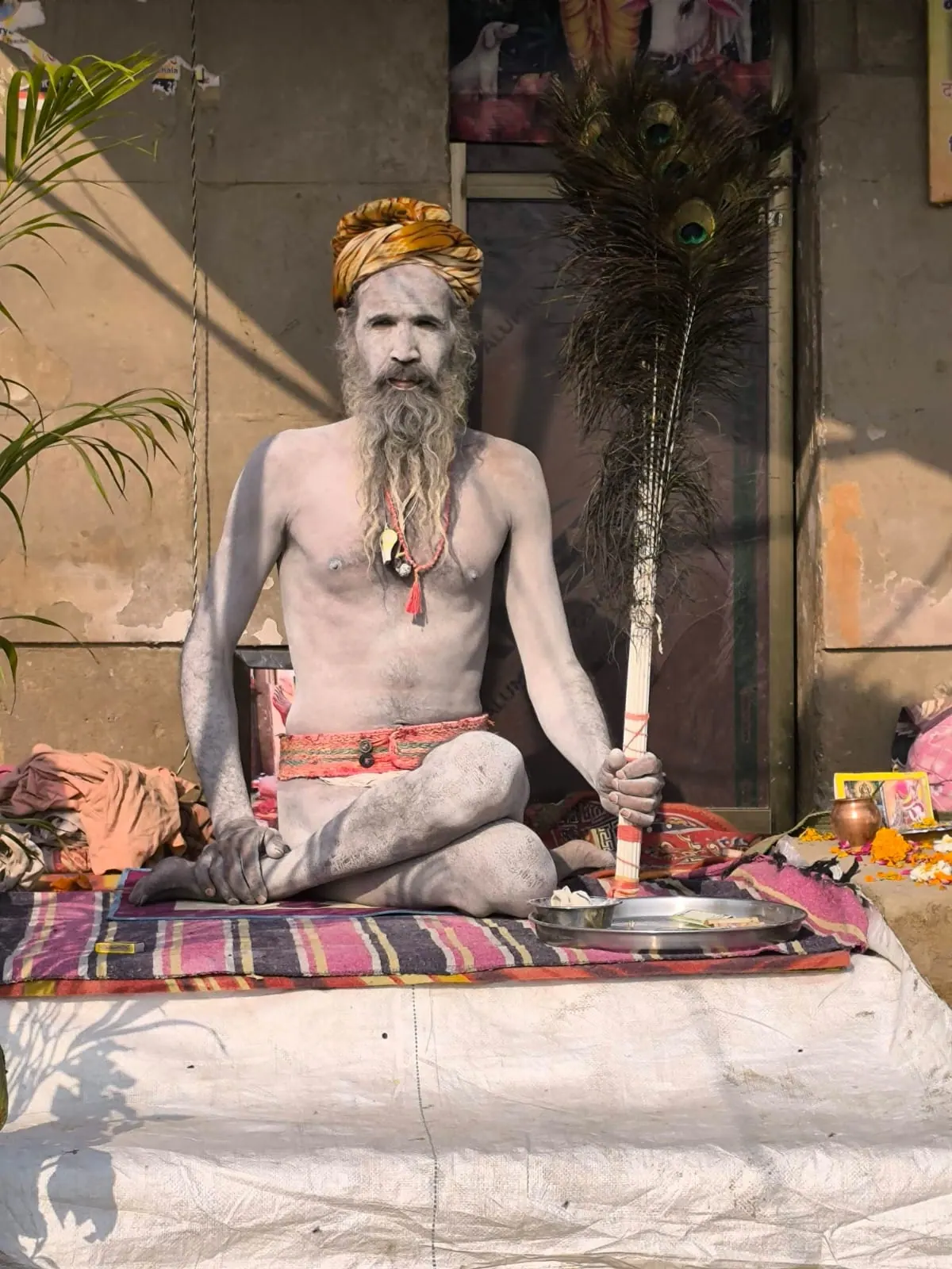 Un anziano sadhu dalla lunga barba bianca seduto con le gambe incrociate, con un ventaglio di piume di pavone