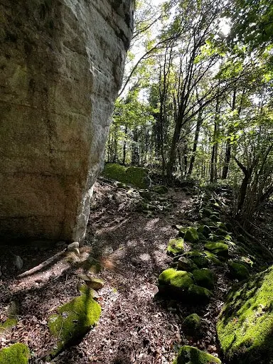 Una grande parete di roccia coperta di muschio accanto al sentiero, nel bosco di Sassoforte