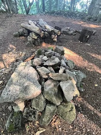Un cumulo di pietre e legna in una radura del bosco