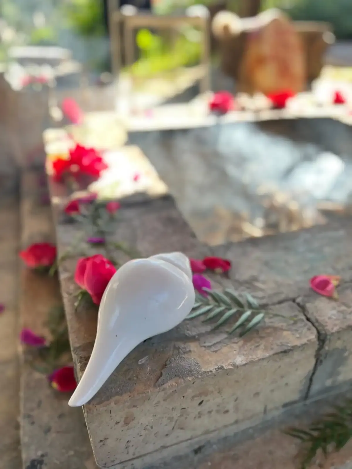 Una conchiglia bianca fra petali di rosa sul bordo di pietra del braciere