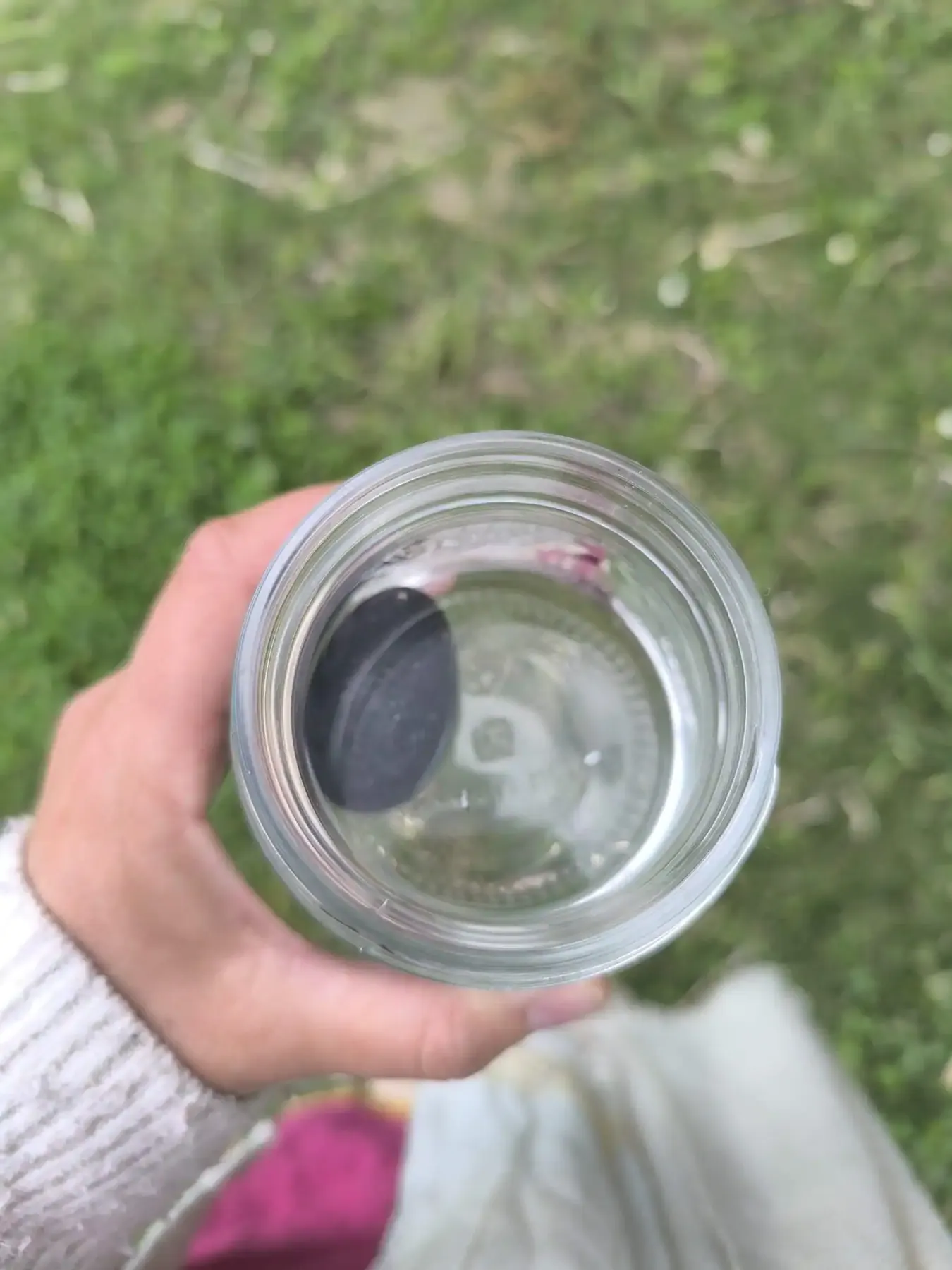 Una mano tiene un bicchiere d'acqua sopra il prato