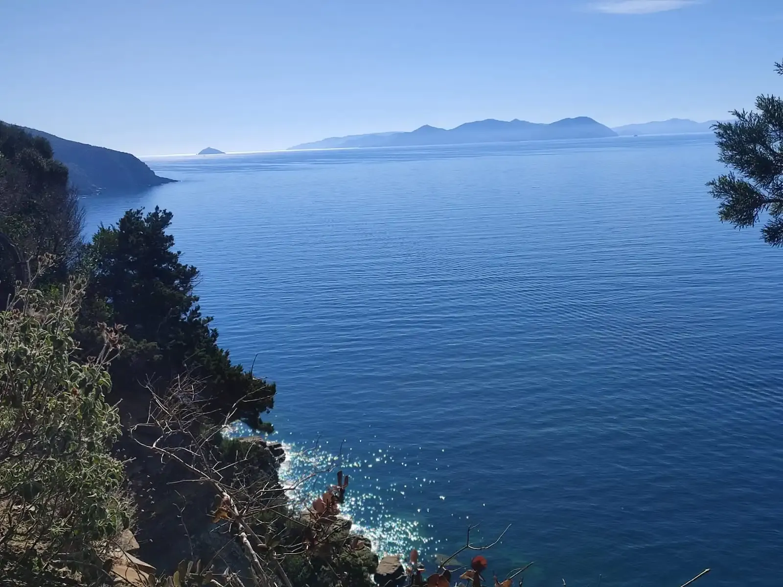 Il mare blu visto dall'alto della costa, fra la macchia e i lecci, con le isole all'orizzonte