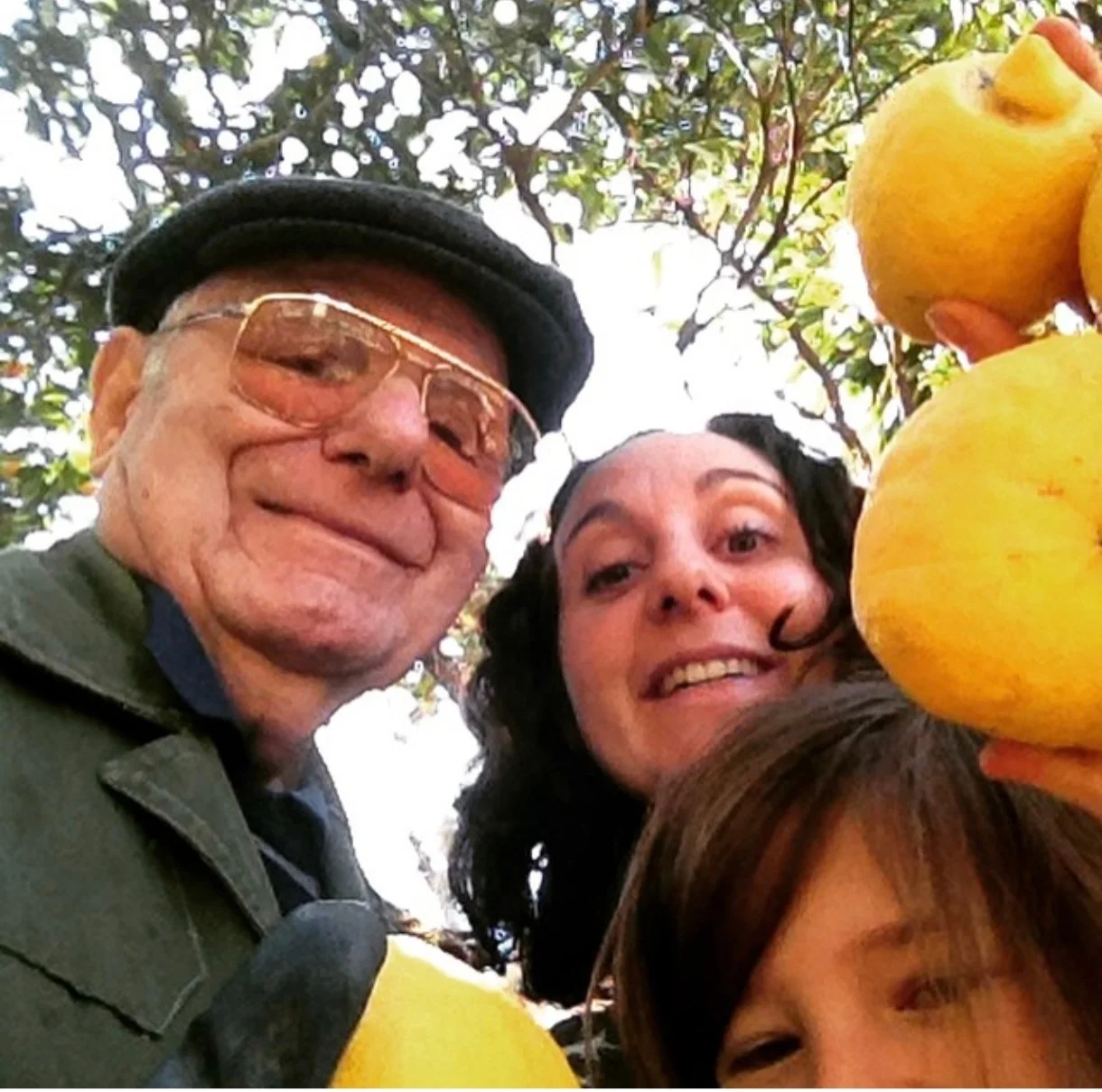 Laura con nonno Bruno sotto l'albero, fra i limoni appena raccolti