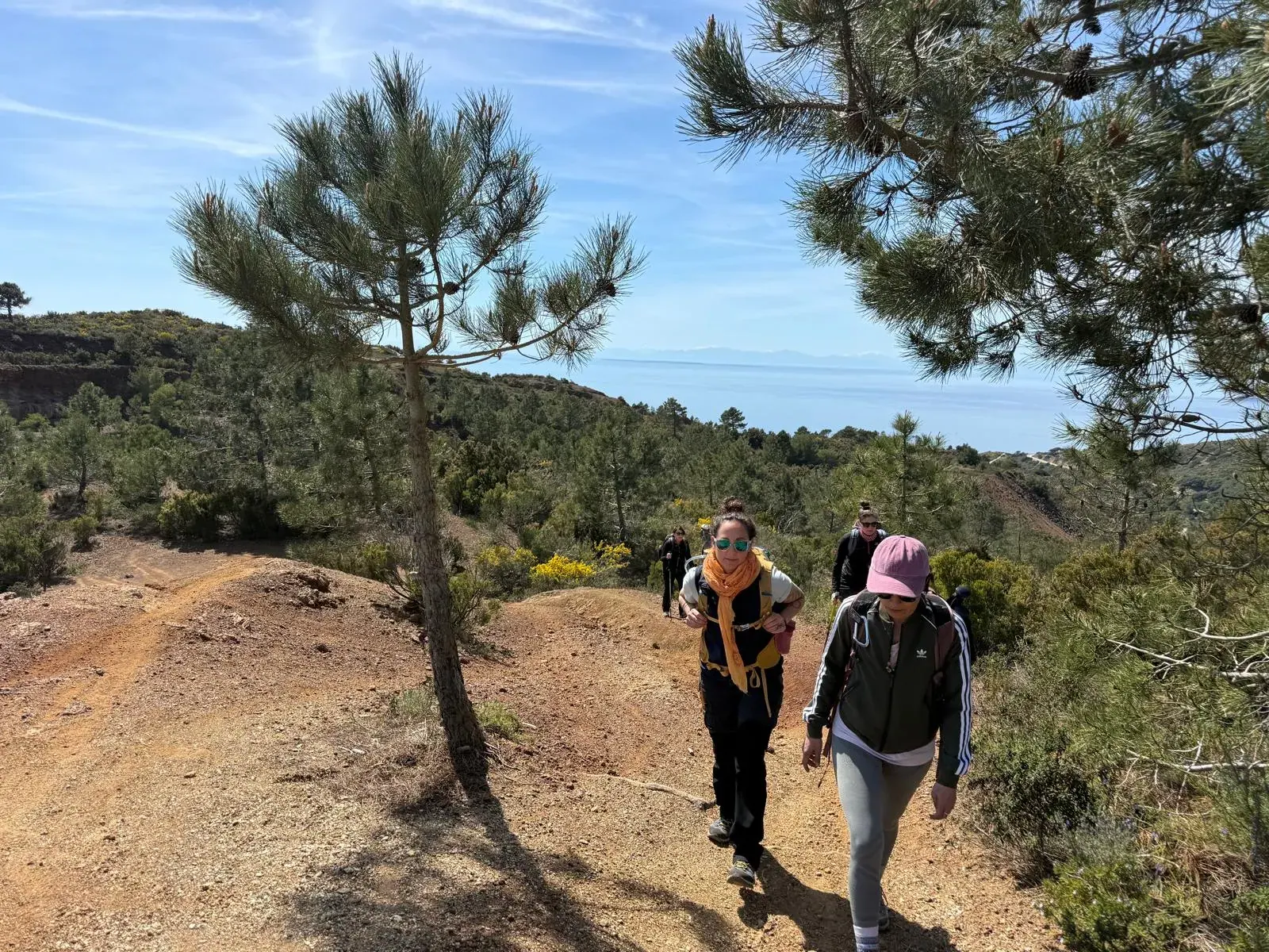 Due camminatrici salgono un sentiero di terra rossa fra i pini